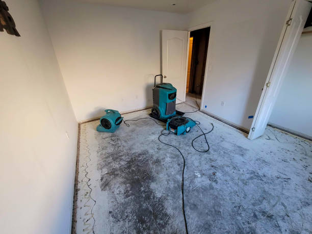 Best Mold removal after water damage  in Marshville, NC