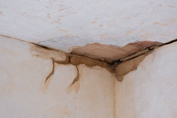 Water damage restoration mold remediation in NC