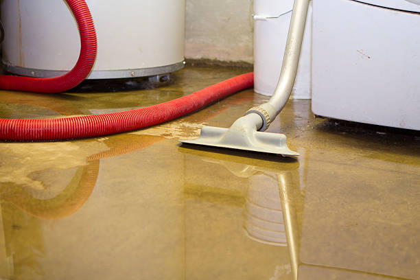 Best Water damage cleanup near me  in Marshville, NC