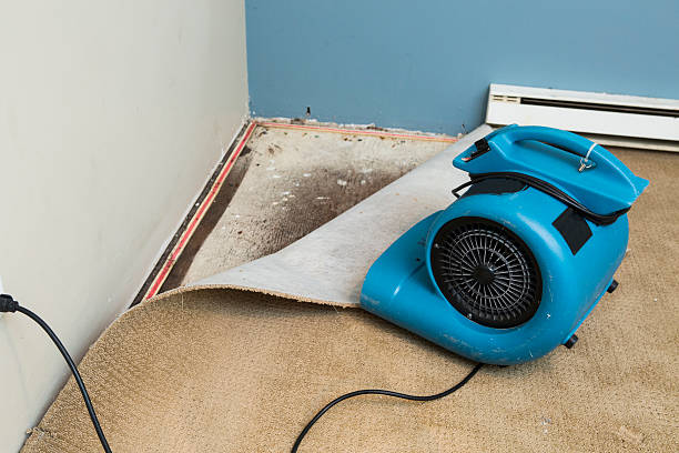 Best Flood damage cleanup  in Marshville, NC